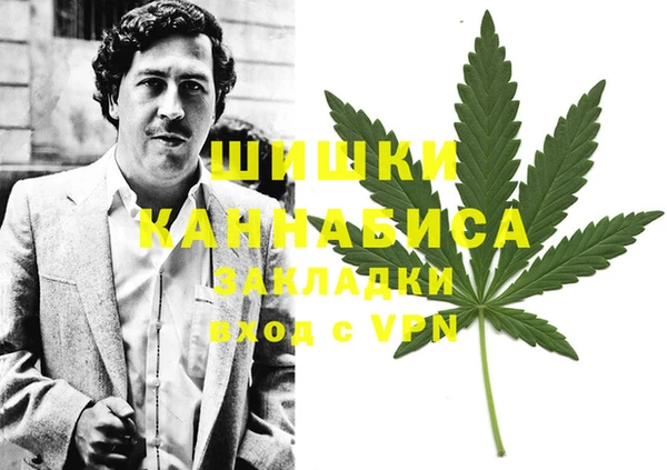 каннабис Аркадак
