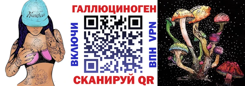 дарнет шоп  Старая Русса  Псилоцибиновые грибы Cubensis 